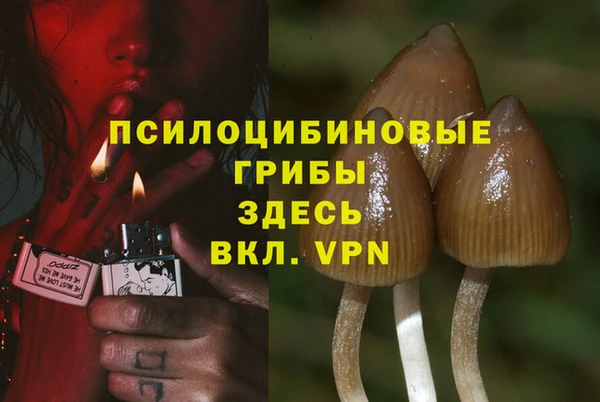 apvp Бугульма
