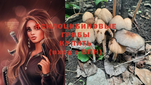 apvp Бугульма