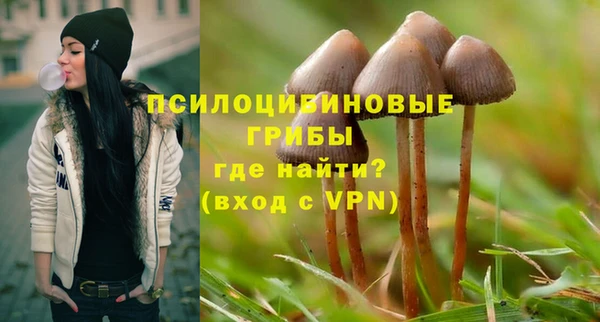 apvp Бугульма