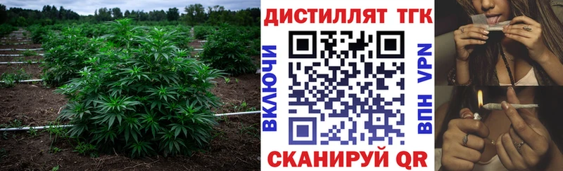 Дистиллят ТГК вейп с тгк  Купить закладки  Славянск-на-Кубани 